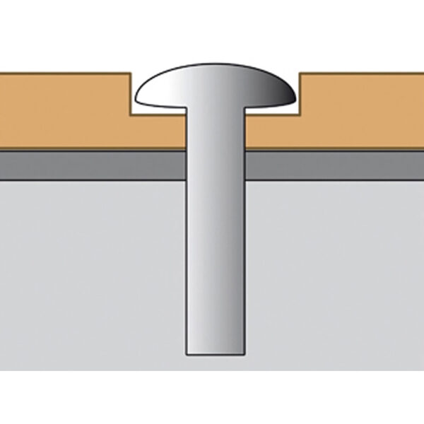 Torx-Schraube