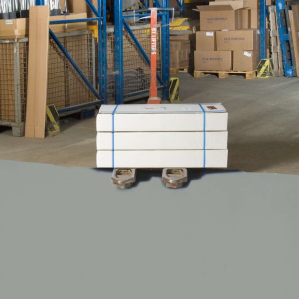 PROline-paint-Hallenmarkierfarbe 5 l-Gebinde